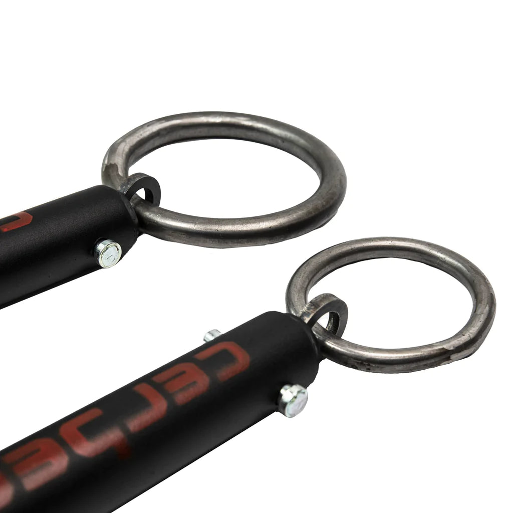 Replica Dinnie Stone Handles